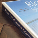 2025 UCANR Rice Production Manual