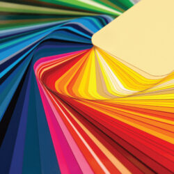 Design & Custom Services